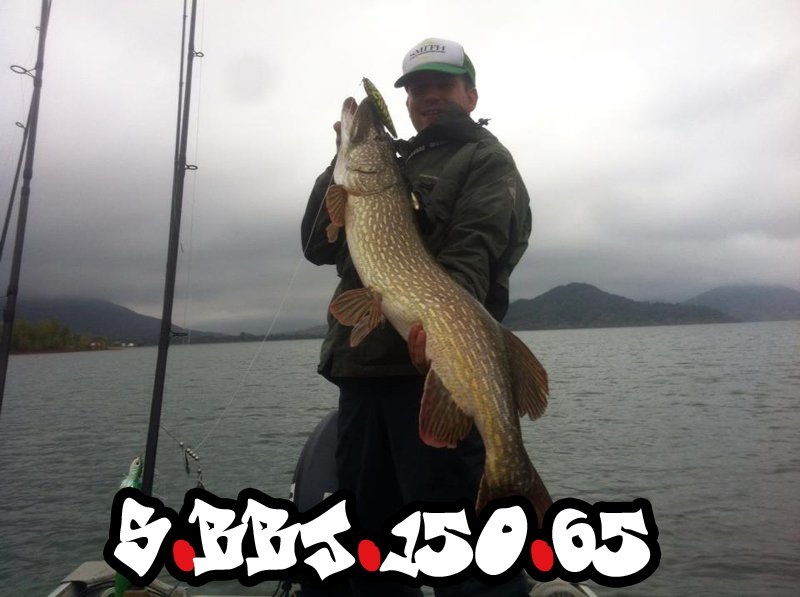 pike_120cm_slures_handmade_lure_s-bbj-150_01