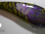 p1110002