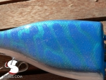 s-jointed_pike-200_blue_pike_04
