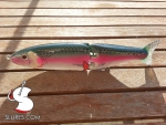 s-rainbow_warrior_trout-200-70_01