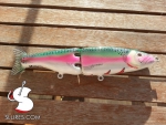 s-rainbow_warrior_trout-200-70_03