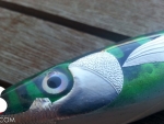 S.Sardignole.120_green_mackerel_03