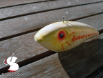 s-vibe_shad-80-30_albinos_baby_bass_03