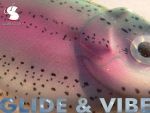 s-glidevibe-120-70_arcenciel_03