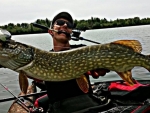 S.baby_bass.130_big_pike_fish_and_love_01