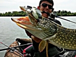 S.baby_bass.130_big_pike_fish_and_love_02