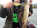 pike_slures_handmade_lure_s-bbj-150_bavette